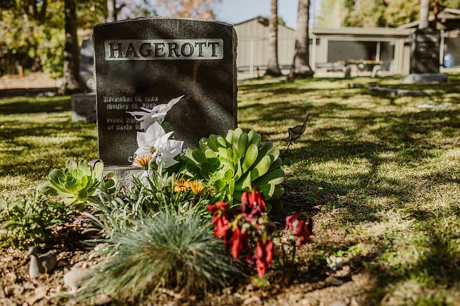 history of cemetery flowers